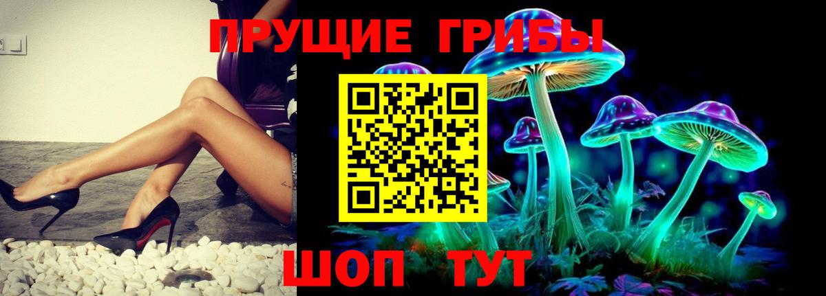 Псилоцибиновые грибы Psilocybine cubensis Гудермес