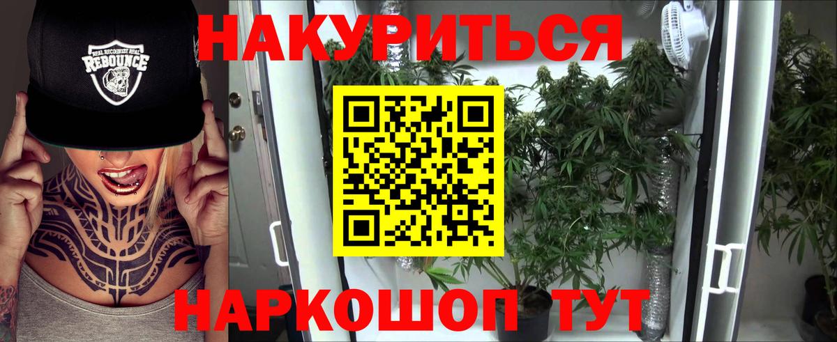 Бошки марихуана план Гудермес